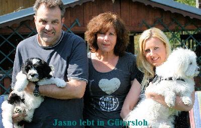 Jasno lebt in Gtersloh